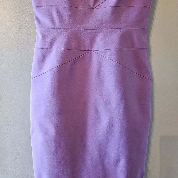 Robert Rodriguez Cocktail Sleeveless Classy Mini Dress Lilac Size 8. - Picture 7 of 16